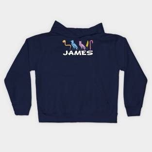 JAMES-American names in hieroglyphic letters-James, name in a Pharaonic Khartouch-Hieroglyphic pharaonic names Kids Hoodie